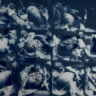 Artwork by Joanne Humphreys