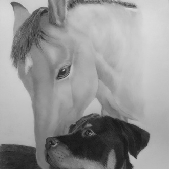 Artwork by Ann Ogden