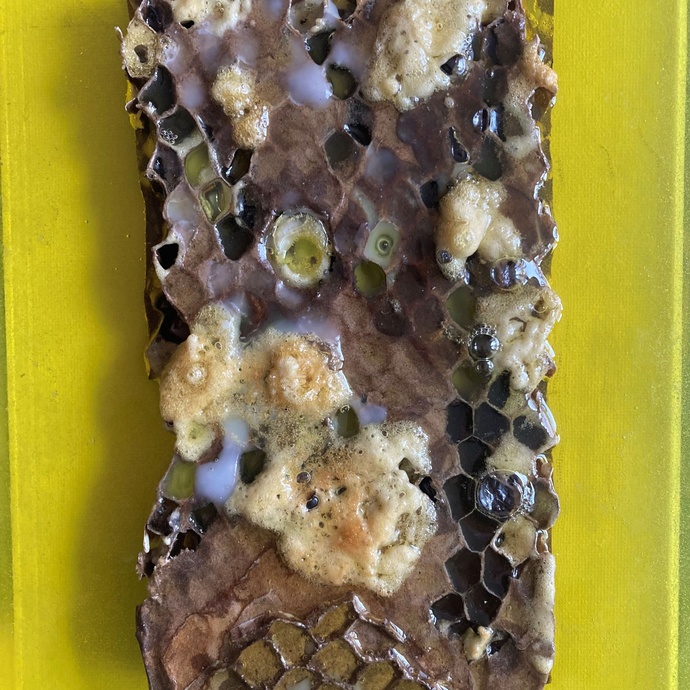 Artwork by Paul Goring