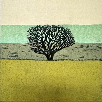 Artwork by Anna Lansley