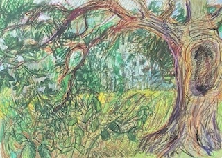 Artwork by Debbie Kersley