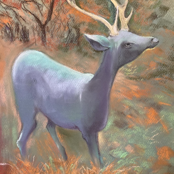 Artwork by Liz Francis